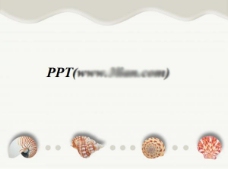 波浪形设计美丽海螺PPT模板