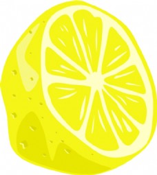 柠檬的变化