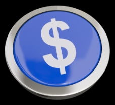 蓝色显示的钱或投资美元符号”按钮
