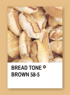 面包褐色基调颜色样本设计