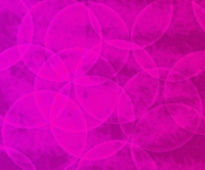 细胞紫纹理