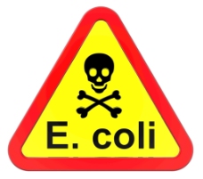 肠出血性大肠杆菌-警告标志