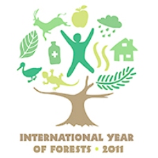 联合国森林2011国际年