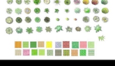PS彩色平面植物彩平图素材