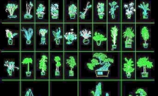 31个精选室内植物CAD立面图