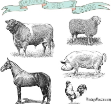 猪矢量素材手绘的农场动物矢量素材