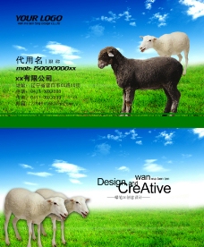 农商名片牧羊图片