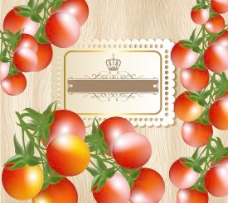 精致的西红柿文本模板设计矢量素材01