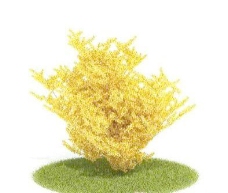 国外精品植物树木灌木3D模型35套2