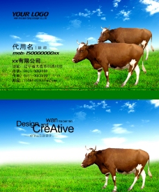 名片 畜类 信息 企业 设计图片