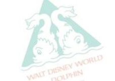 海豚世界迪士尼世界的海豚