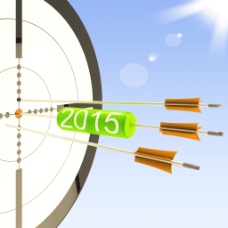 2015个目标显示业务计划的预测