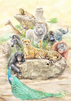 现实的野生动物海报创作PSD