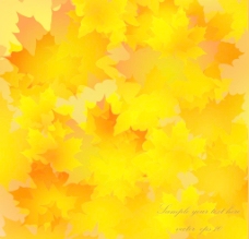 秋天背景秋天的金黄色背景矢量06