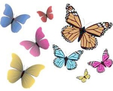 五颜六色的蝴蝶矢量艺术