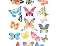 收集的蝴蝶，免费矢量