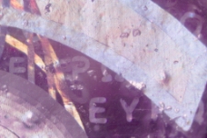 欧元的全息显微照片