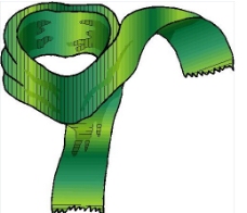 绿色围巾