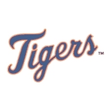 棒球的球棒底特律老虎队美国职棒大联盟棒球俱乐部