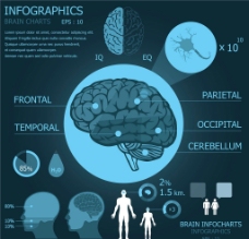 大脑医学医疗设计图片