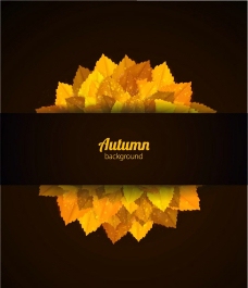 秋天秋叶黄叶图片