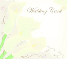 PSD花纹3花纹装饰矢量婚礼卡设计3