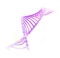 DNA   生物  肽链图片