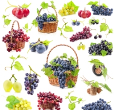 葡萄 水果图片