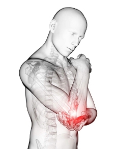 肘部 人体器官图片