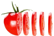 西红柿 番茄图片