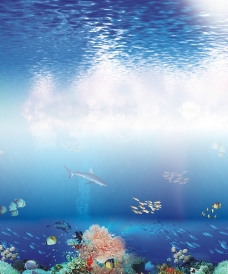 海底世界背景图片