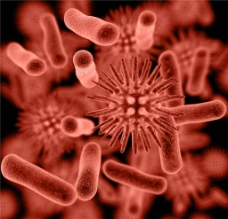 病毒 细菌图片