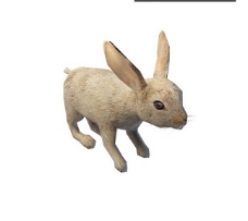 兔子3d模型