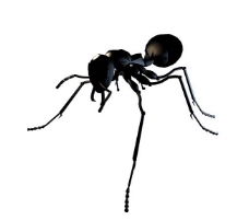 蚂蚁3d模型