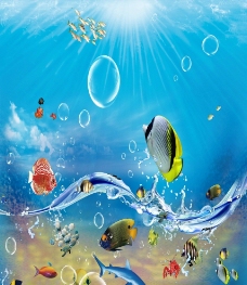 海水 花斑鱼图片