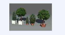 绿色植物造型模型