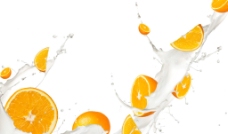牛奶中的橙子图片