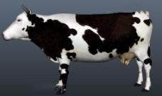 牛奶模型