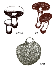 口蘑，香菇，猴头菇图片