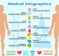 人体器官图标图片