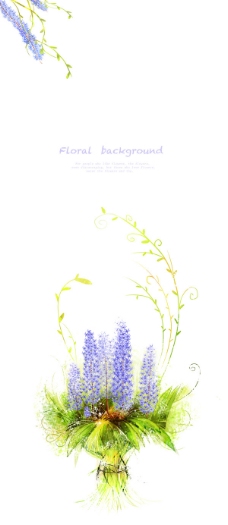 蓝色花朵插画