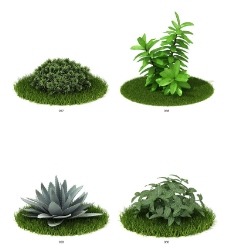绿色植物模型