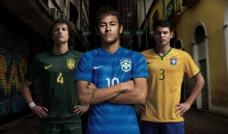 2014年巴西世界杯图片