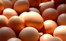 鸡蛋高清图图片