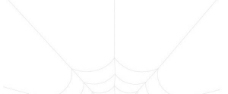 蜘蛛网网状花纹矢量图
