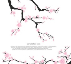 春天的树枝矢量素材图片