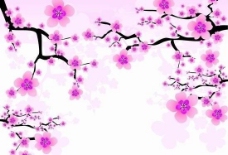 春天的樱花矢量图片
