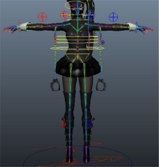人体模型角色人体构造游戏模型素材