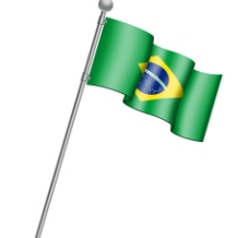 世界国旗巴西世界杯国旗