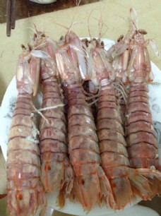 海鲜 皮皮虾